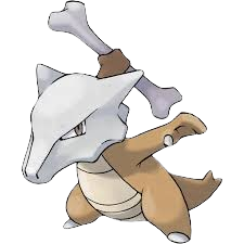 Ground Type